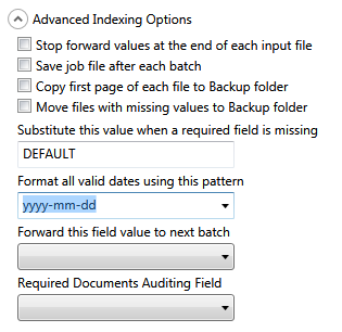 File:SimpleIndex Simple Setup Configuration Wizard Advanced Indexing Options.png